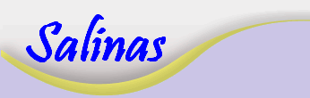 Salinas